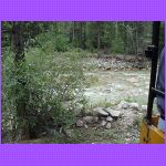 Between The Cars.jpg